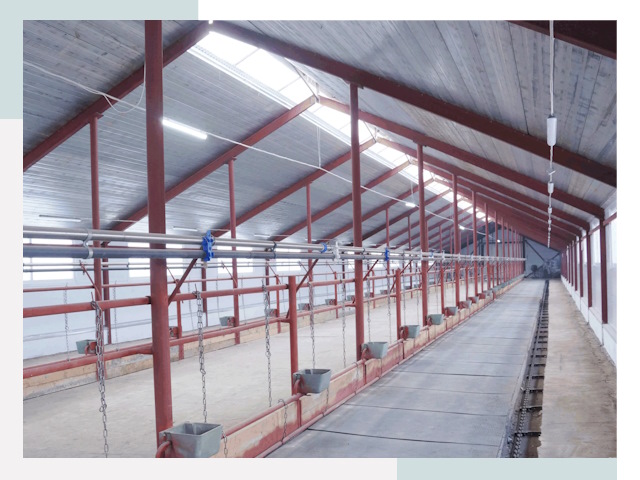 Строительство коровников в Калуге от 607 руб.