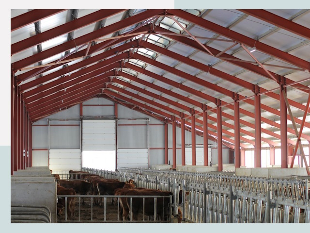 Строительство коровников в Калуге