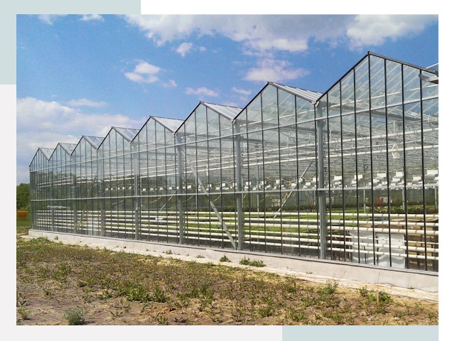 Строительство теплиц в Калуга от 607 руб. за м²