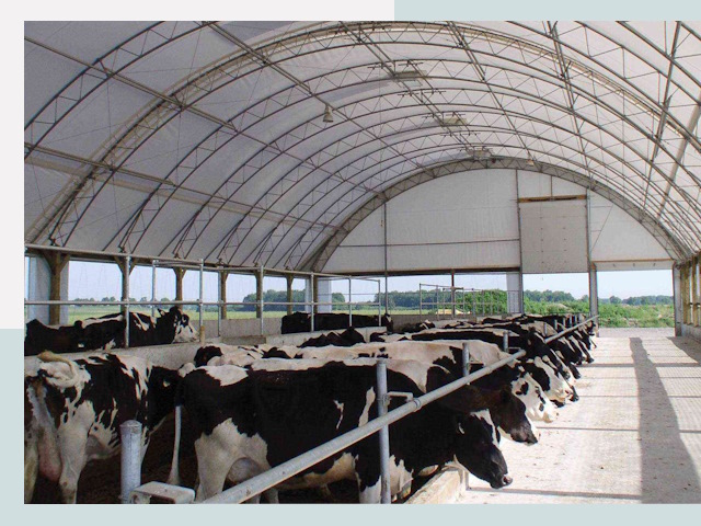 Тентовые коровники в Калуге